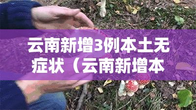 云南新增3例本土无症状(云南新增本土确诊7例 无症状5例) 云南新增3例本土无症状(云南新增本土确诊7例 无症状5例)