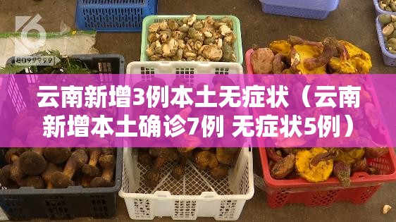 云南新增3例本土无症状(云南新增本土确诊7例 无症状5例) 云南新增3例本土无症状(云南新增本土确诊7例 无症状5例)