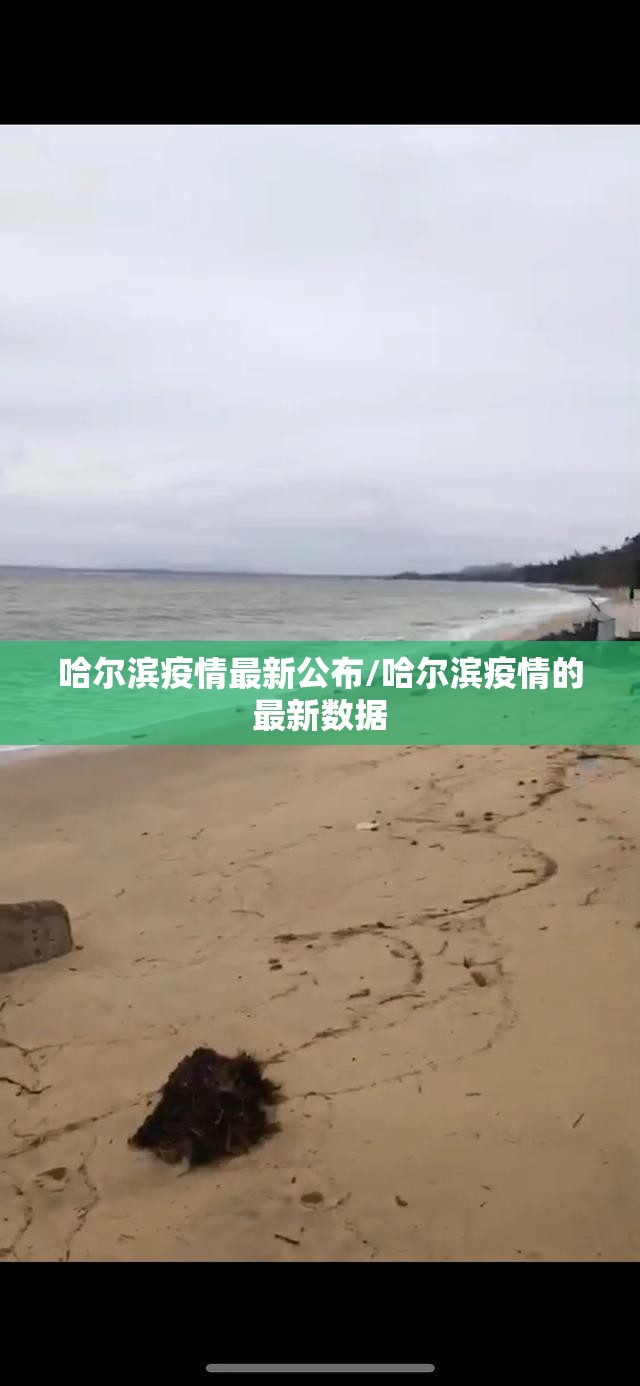 哈尔滨疫情最新公布/哈尔滨疫情的最新数据