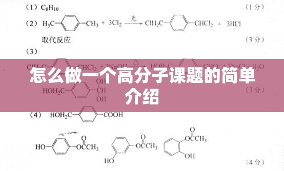 怎么做一个高分子课题的简单介绍 怎么做一个高分子课题的简单介绍