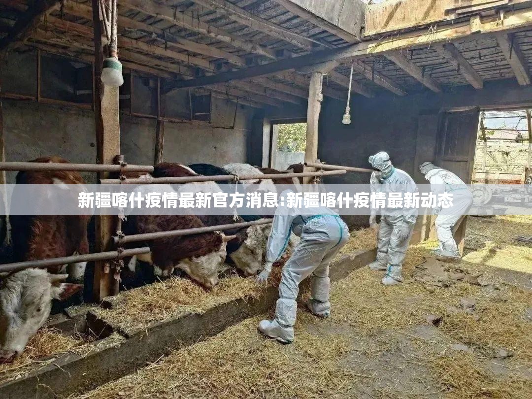 新疆喀什疫情最新官方消息:新疆喀什疫情最新动态 新疆喀什疫情最新官方消息:新疆喀什疫情最新动态