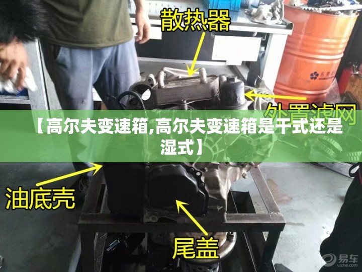 【高尔夫变速箱,高尔夫变速箱是干式还是湿式】 【高尔夫变速箱,高尔夫变速箱是干式还是湿式】