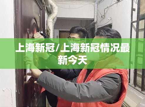 上海新冠/上海新冠情况最新今天 上海新冠/上海新冠情况最新今天