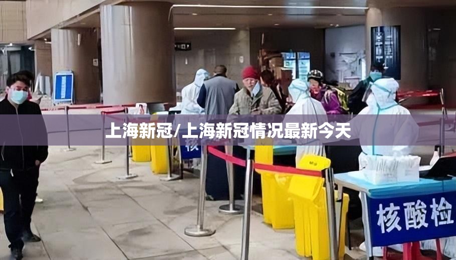 上海新冠/上海新冠情况最新今天 上海新冠/上海新冠情况最新今天
