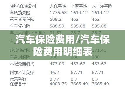 汽车保险费用/汽车保险费用明细表