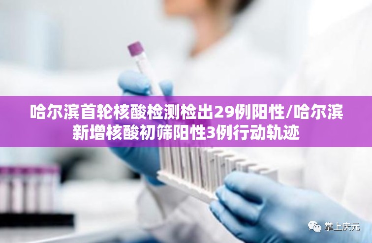 哈尔滨首轮核酸检测检出29例阳性/哈尔滨新增核酸初筛阳性3例行动轨迹