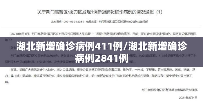 湖北新增确诊病例411例/湖北新增确诊病例2841例 湖北新增确诊病例411例/湖北新增确诊病例2841例
