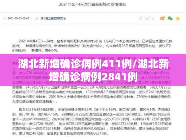 湖北新增确诊病例411例/湖北新增确诊病例2841例 湖北新增确诊病例411例/湖北新增确诊病例2841例
