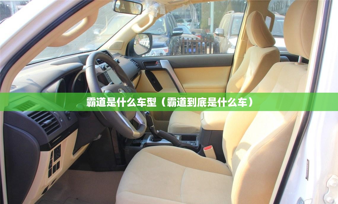 霸道是什么车型（霸道到底是什么车）