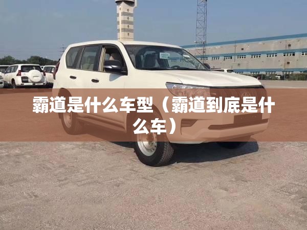霸道是什么车型（霸道到底是什么车）