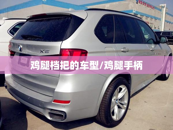 鸡腿档把的车型/鸡腿手柄 鸡腿档把的车型/鸡腿手柄