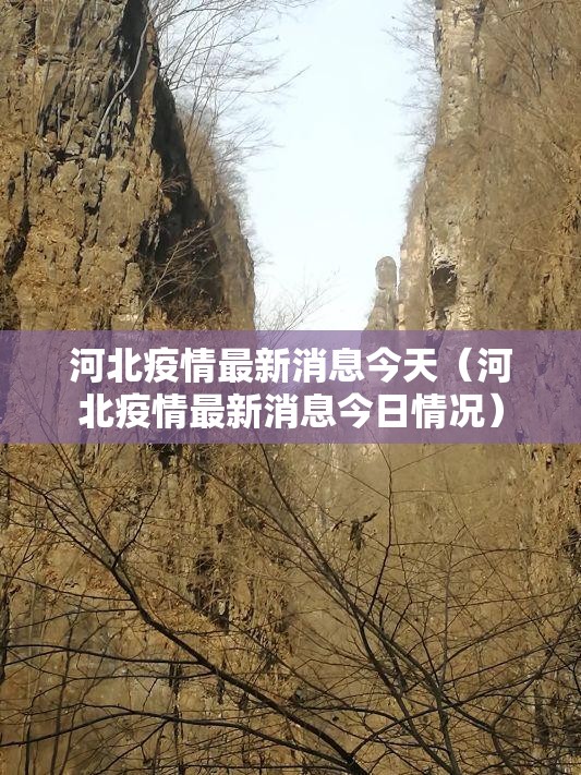 河北疫情最新消息今天(河北疫情最新消息今日情况) 河北疫情最新消息今天(河北疫情最新消息今日情况)