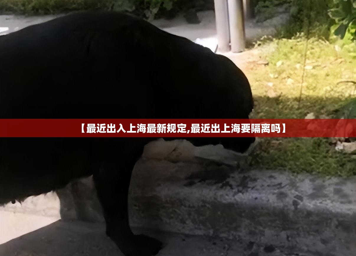 【最近出入上海最新规定,最近出上海要隔离吗】 【最近出入上海最新规定,最近出上海要隔离吗】