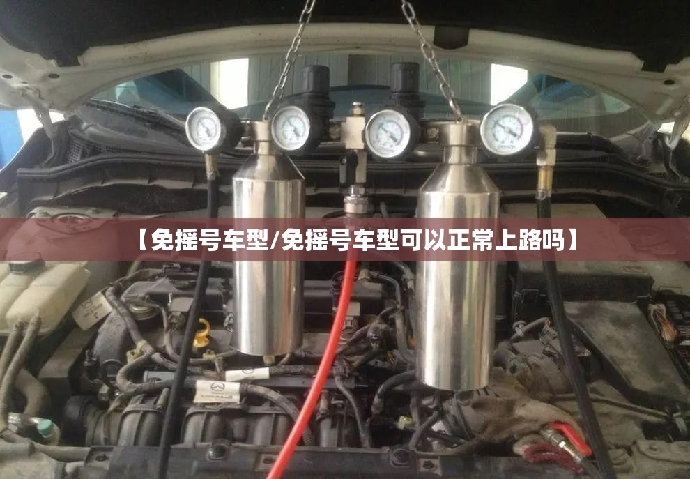 【免摇号车型/免摇号车型可以正常上路吗】 【免摇号车型/免摇号车型可以正常上路吗】