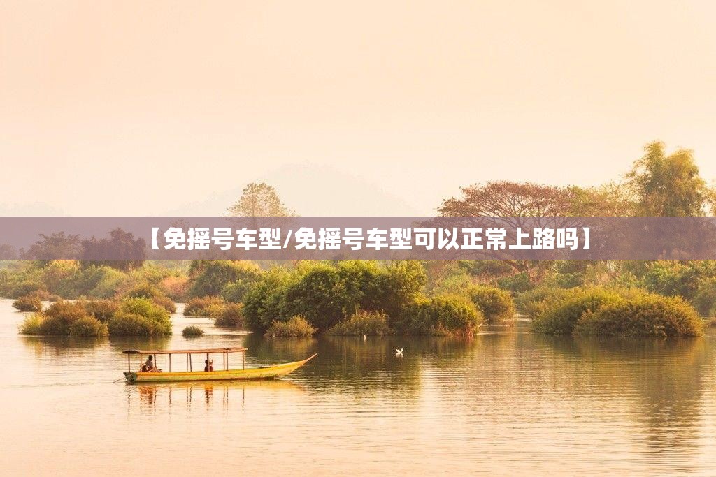 【免摇号车型/免摇号车型可以正常上路吗】 【免摇号车型/免摇号车型可以正常上路吗】