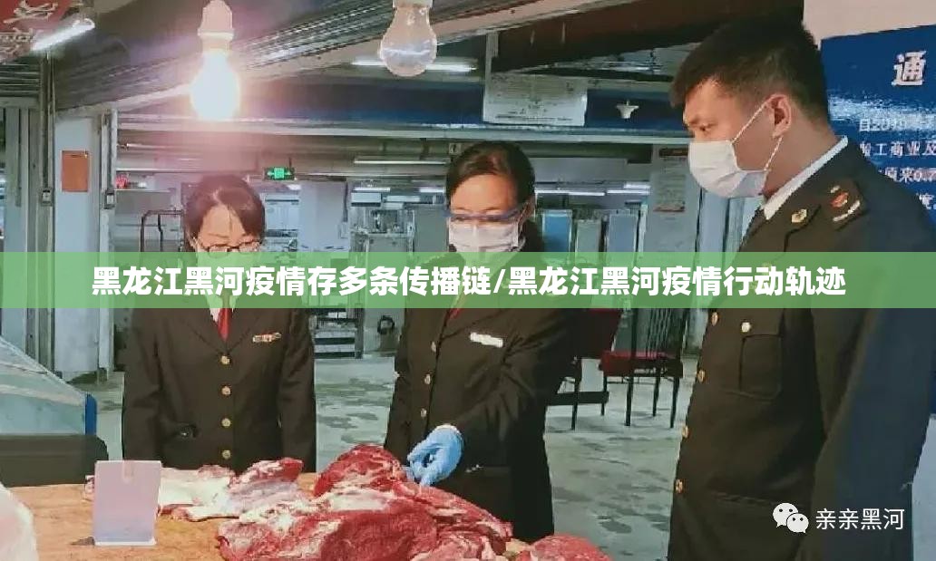 黑龙江黑河疫情存多条传播链/黑龙江黑河疫情行动轨迹 黑龙江黑河疫情存多条传播链/黑龙江黑河疫情行动轨迹