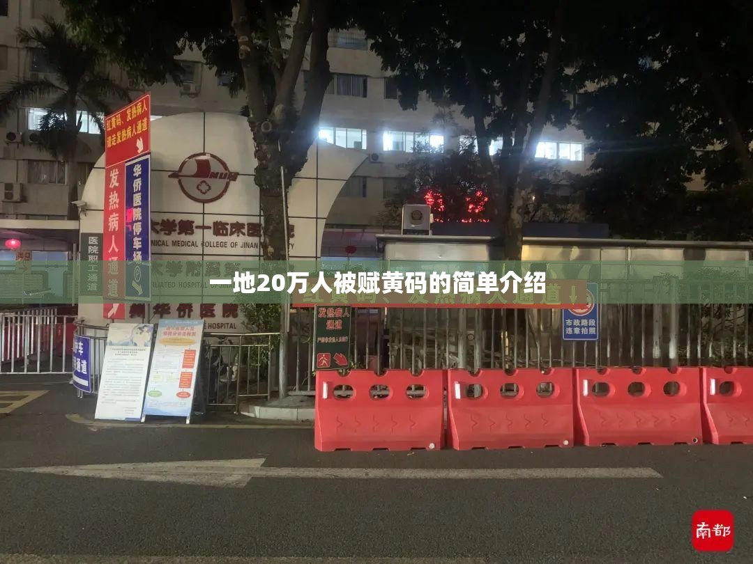 一地20万人被赋黄码的简单介绍 一地20万人被赋黄码的简单介绍