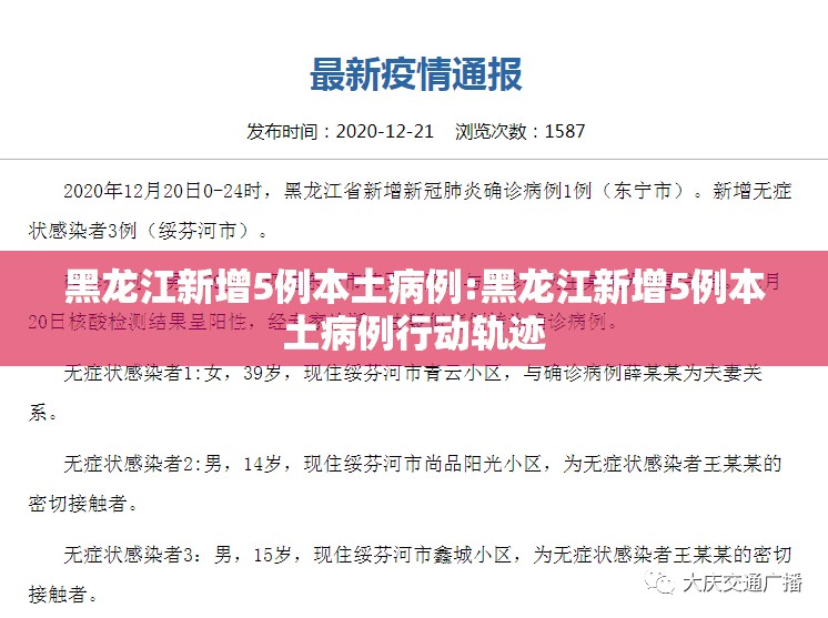 黑龙江新增5例本土病例:黑龙江新增5例本土病例行动轨迹
