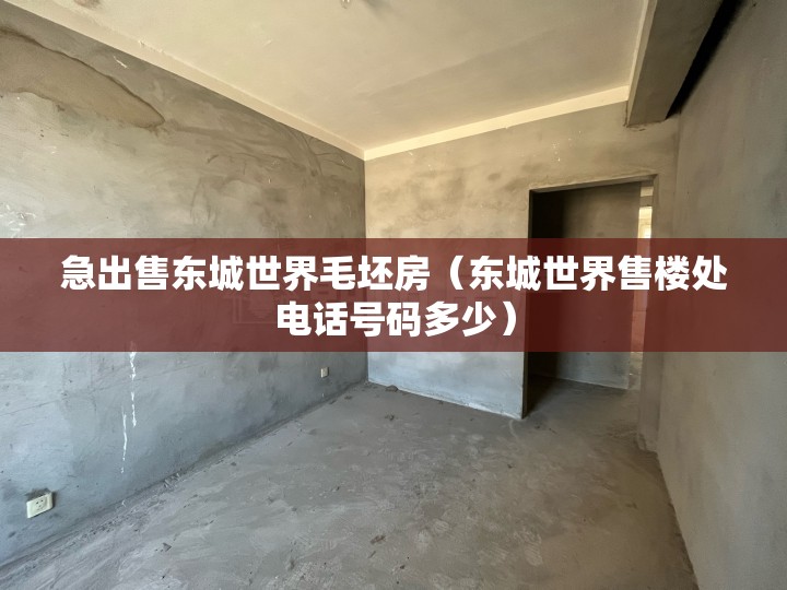 急出售东城世界毛坯房（东城世界售楼处电话号码多少）