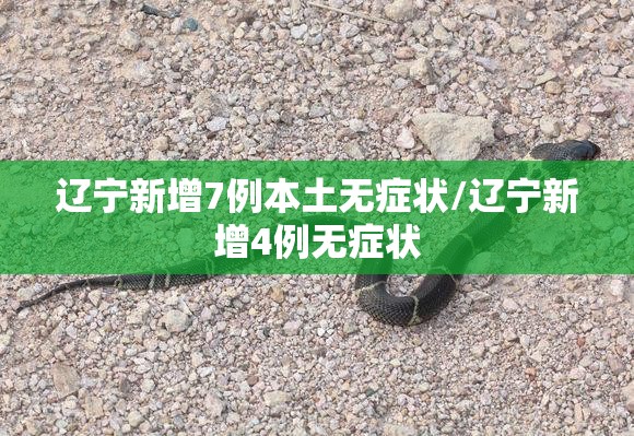 辽宁新增7例本土无症状/辽宁新增4例无症状 辽宁新增7例本土无症状/辽宁新增4例无症状