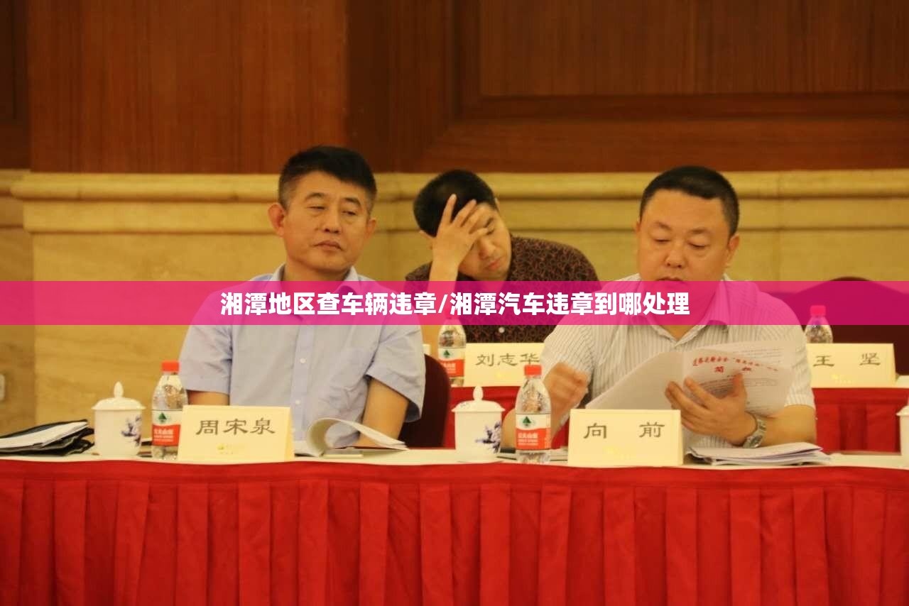 湘潭地区查车辆违章/湘潭汽车违章到哪处理 湘潭地区查车辆违章/湘潭汽车违章到哪处理