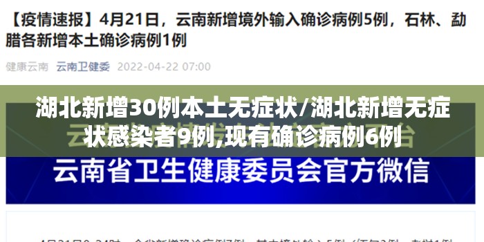 湖北新增30例本土无症状/湖北新增无症状感染者9例,现有确诊病例6例
