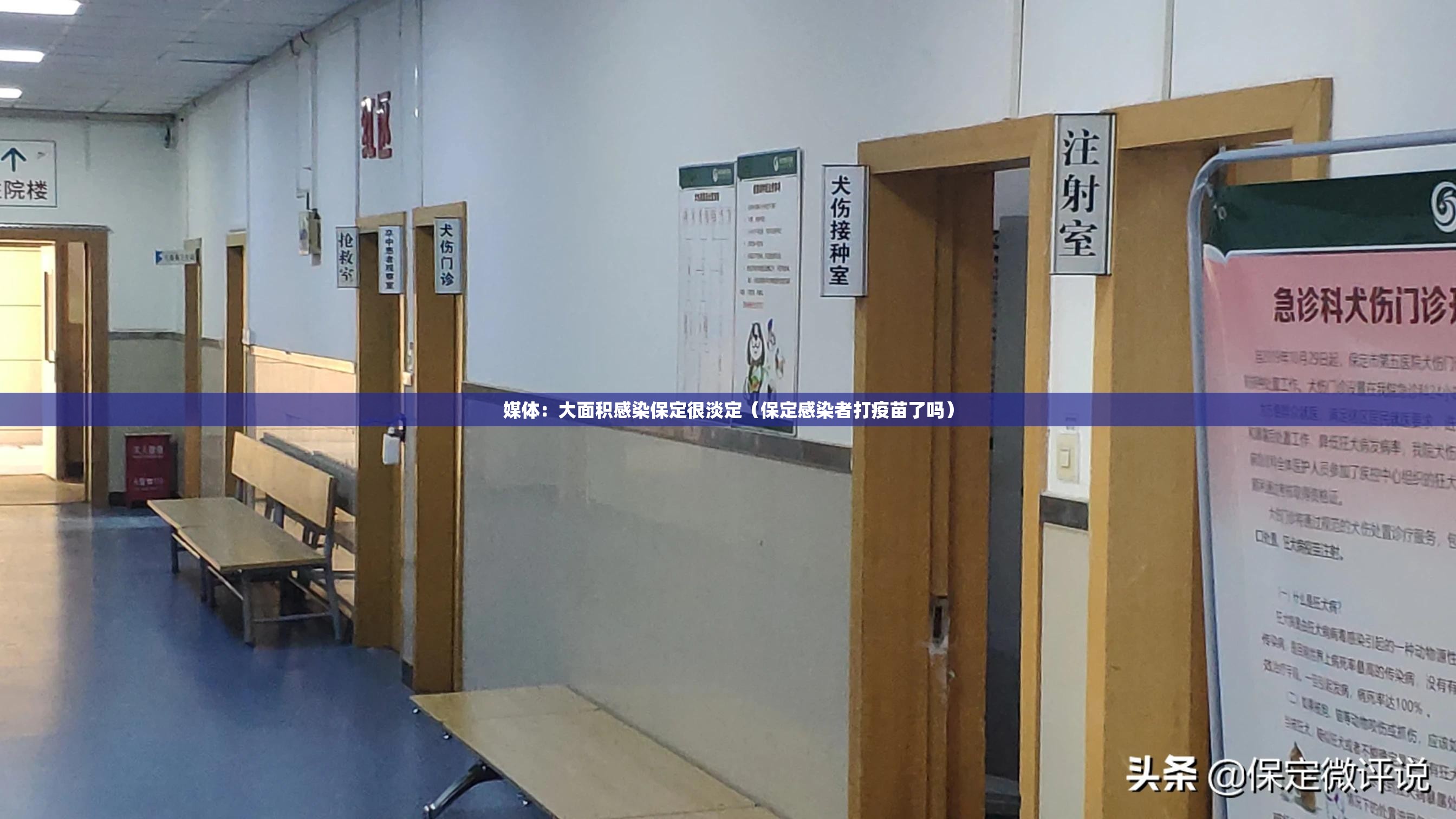 媒体:大面积感染保定很淡定(保定感染者打疫苗了吗) 媒体:大面积感染保定很淡定(保定感染者打疫苗了吗)