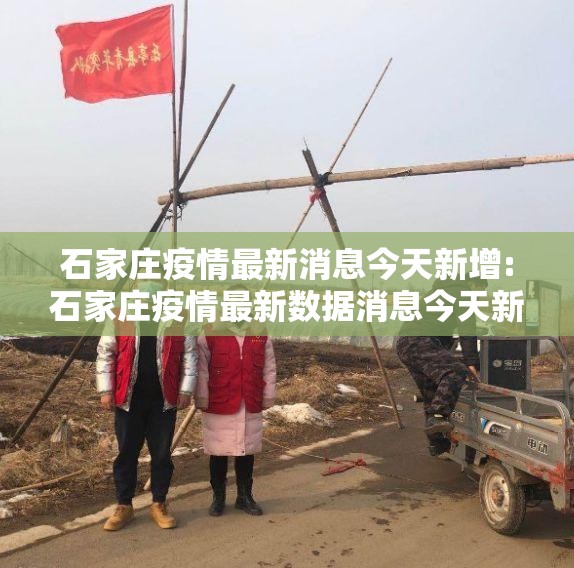石家庄疫情最新消息今天新增:石家庄疫情最新数据消息今天新增轨迹