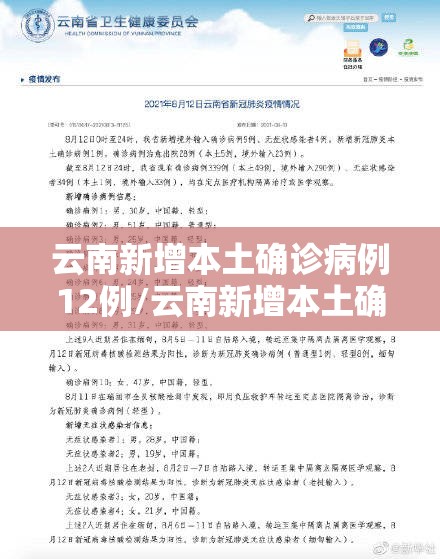 云南新增本土确诊病例12例/云南新增本土确诊病例9例6 云南新增本土确诊病例12例/云南新增本土确诊病例9例6