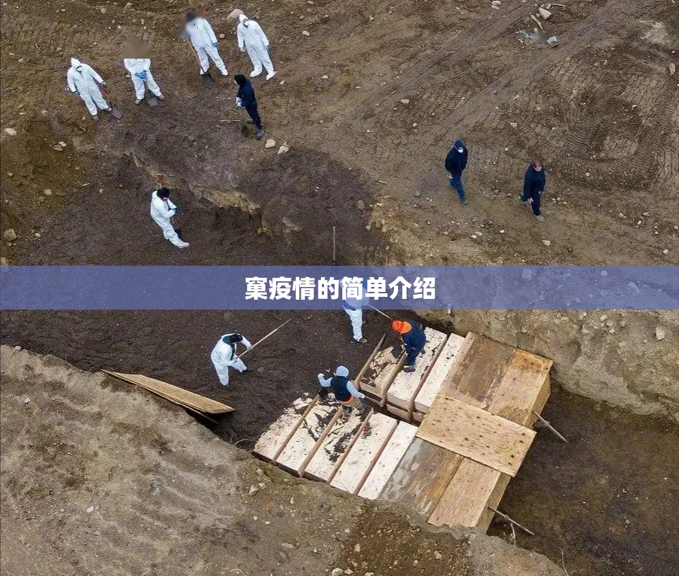 窠疫情的简单介绍 窠疫情的简单介绍