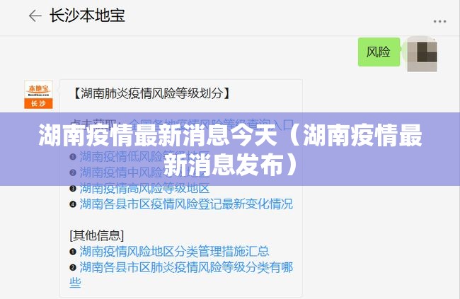 湖南疫情最新消息今天（湖南疫情最新消息发布）