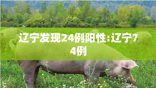 辽宁发现24例阳性:辽宁74例 辽宁发现24例阳性:辽宁74例