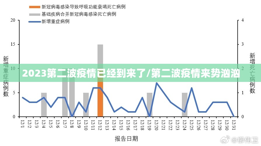 2023第二波疫情已经到来了/第二波疫情来势汹汹 2023第二波疫情已经到来了/第二波疫情来势汹汹