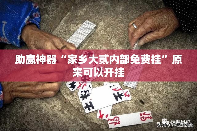 助赢神器“家乡大贰内部免费挂”原来可以开挂