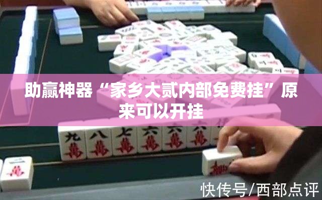 助赢神器“家乡大贰内部免费挂”原来可以开挂