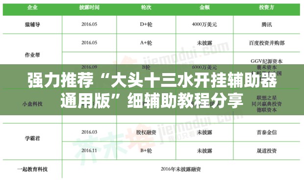 强力推荐“大头十三水开挂辅助器通用版	”细辅助教程分享