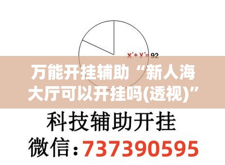 万能开挂辅助“新人海大厅可以开挂吗(透视)”开挂辅助脚本+详细开挂安装教程