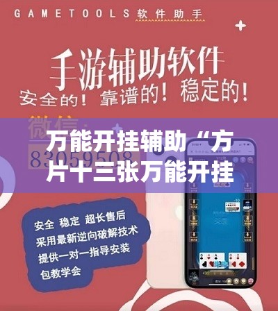 万能开挂辅助“方片十三张万能开挂器	”(透视)其实确实有挂