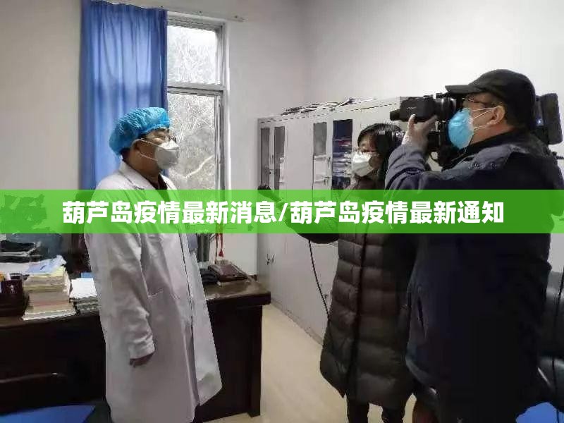 葫芦岛疫情最新消息/葫芦岛疫情最新通知 葫芦岛疫情最新消息/葫芦岛疫情最新通知