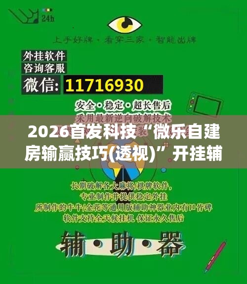 2026首发科技“微乐自建房输赢技巧(透视)”开挂辅助脚本+详细开挂安装教程