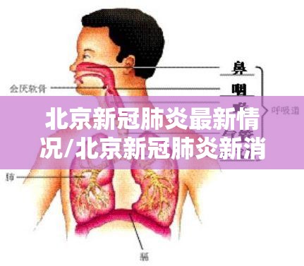 北京新冠肺炎最新情况/北京新冠肺炎新消息 北京新冠肺炎最新情况/北京新冠肺炎新消息