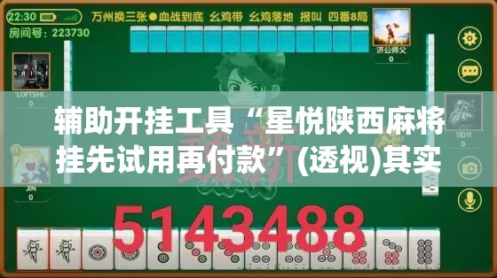 辅助开挂工具“星悦陕西麻将挂先试用再付款”(透视)其实确实有挂
