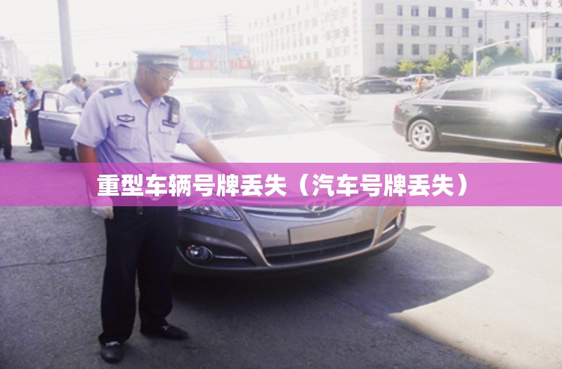 重型车辆号牌丢失（汽车号牌丢失）