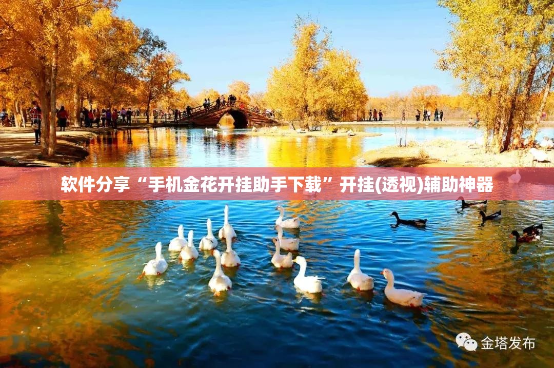 软件分享“手机金花开挂助手下载”开挂(透视)辅助神器