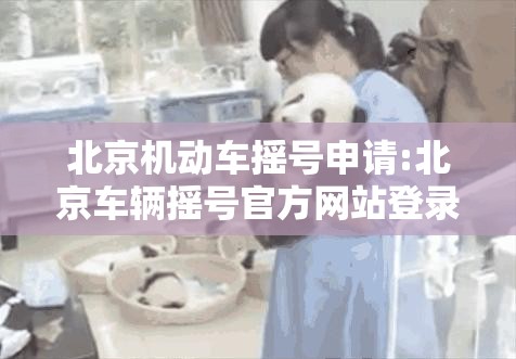 北京机动车摇号申请:北京车辆摇号官方网站登录入口 北京机动车摇号申请:北京车辆摇号官方网站登录入口