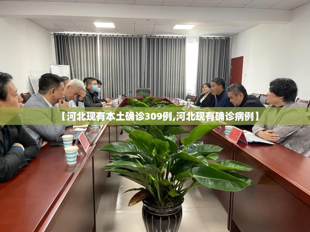 【河北现有本土确诊309例,河北现有确诊病例】
