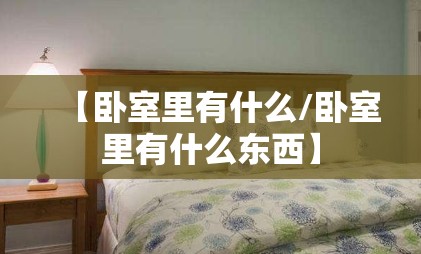 【卧室里有什么/卧室里有什么东西】