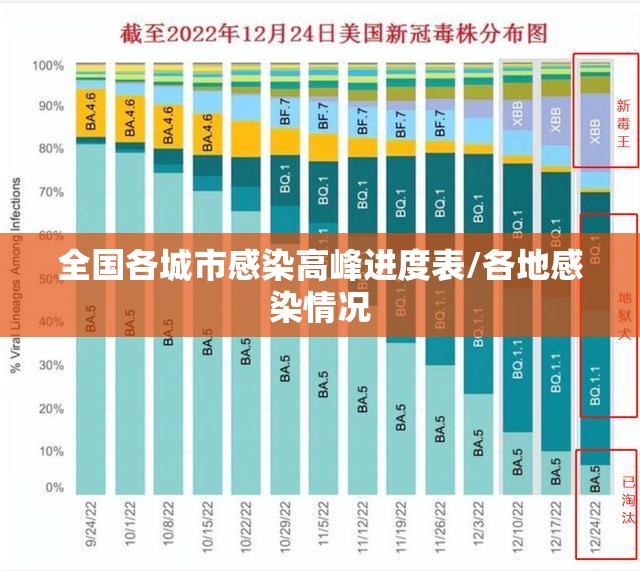 全国各城市感染高峰进度表/各地感染情况