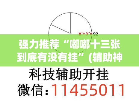强力推荐“嘟嘟十三张到底有没有挂	”(辅助神器)开挂详细教程