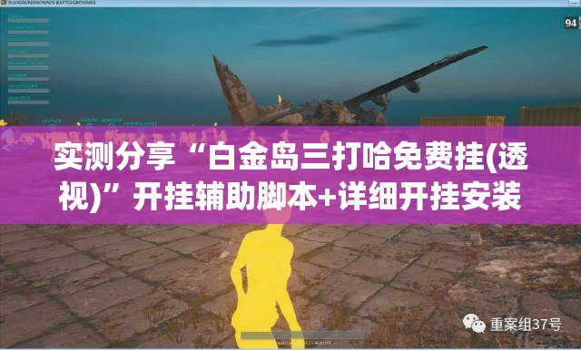 实测分享“白金岛三打哈免费挂(透视)	”开挂辅助脚本+详细开挂安装教程